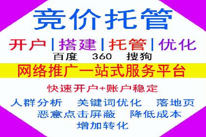 案例分析：百度竞价托管助力行业龙头